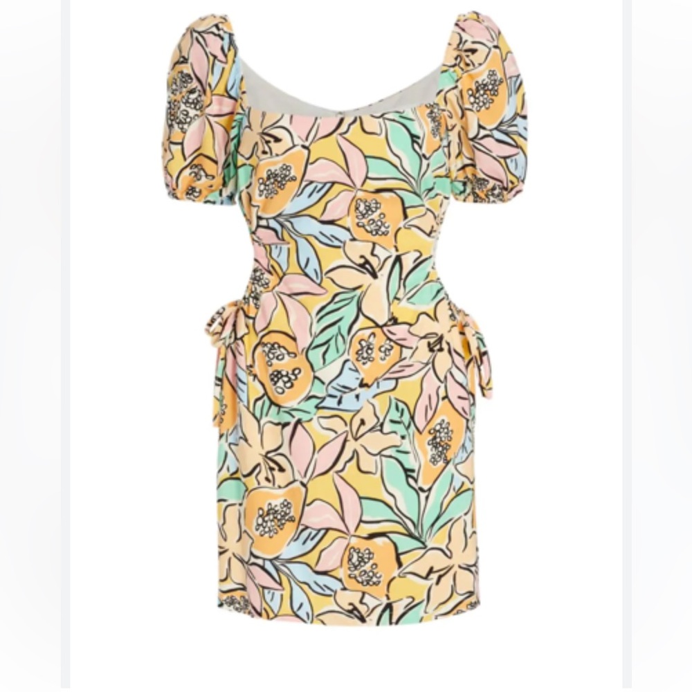 ASTR The Label Talula Puff Sleeve Mini Dress